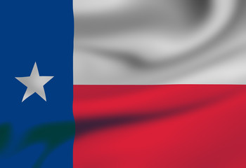 Texan flag waving in the wind