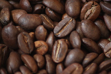 Kaffeebohnen