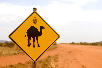 Strassenschild Vorsicht Kamel