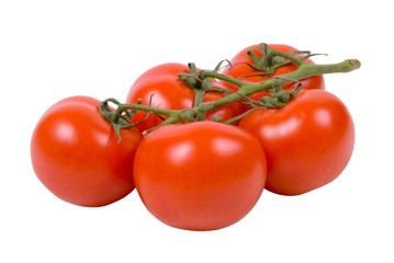 Branch of red fresh tomatoes on white background