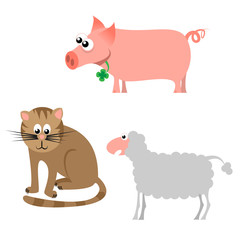 Pig, cat and sheet - cartoon vector illustrations