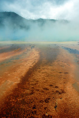 Grand Prismatic Hot Spring Yellowstone