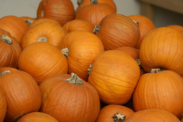 Pumpkins for Sale
