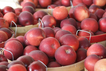 Apples for Sale