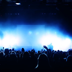 Cheering crowd at concert, musicians on the stage