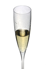 close up of an isolated glass cup of champagne