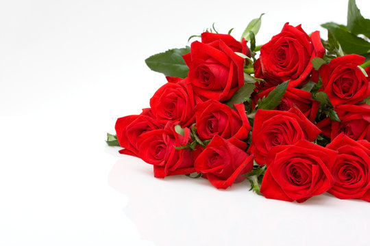 bunch of red roses on white background