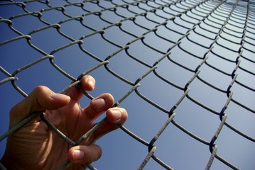 On the fence