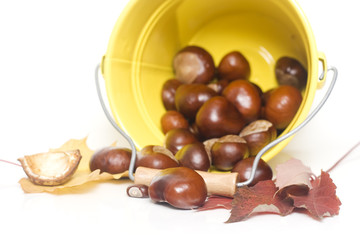 chestnuts spilling out from a yellow bucket
