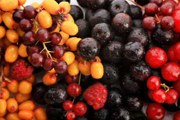 Fresh Vegetables, Fruits and other foodstuffs. Berries