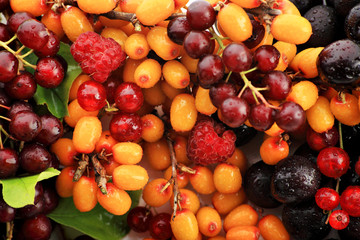 Fresh Vegetables, Fruits and other foodstuffs. Berries