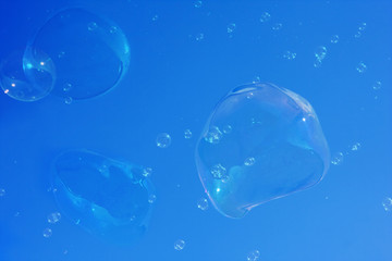 Soap bubbles on the blue sky background