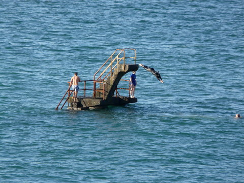 Plongeoir