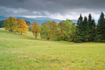 Coloured timber throughout the country in autumn