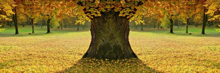 Beautiful, lady of colour autumn mood