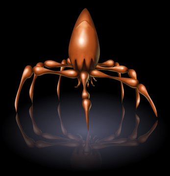aracnide extraterrestre (nero)