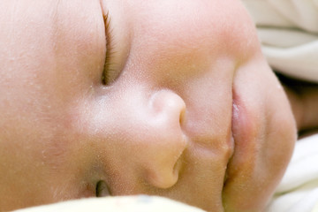 Fototapeta premium portrait of sleeping young baby