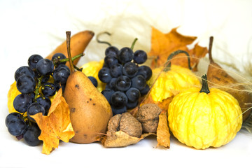 Autumn still life
