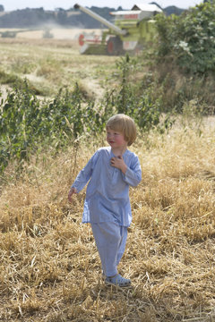 small boy playing in a summer field during harvesting