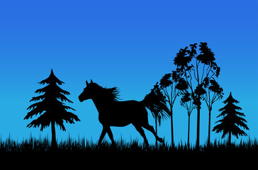 Galloping near forest horse