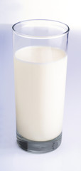 Clear glass of milk with a light blue faded background