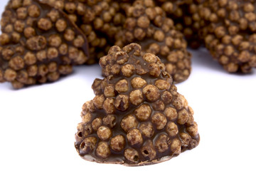 Chocolate sweet a truffle on a white background