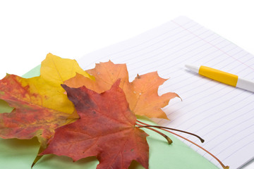 Writing-book, pen and autumn leaves on a white background.