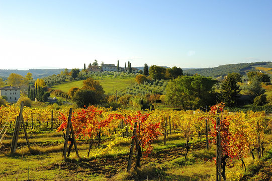 paysage de Toscane