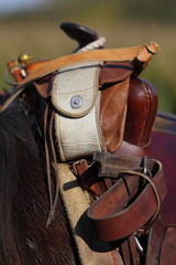 selle © Dominique VERNIER