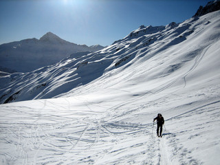 Ski de randonnée