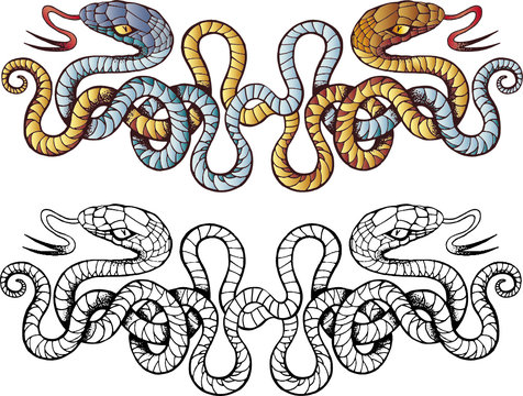 two plaited snakes tattoo ornament