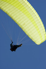 paraglider