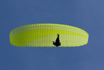 paraglider