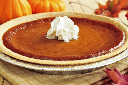 Whole Pumpkin Pie With Fresh Whipped Cream