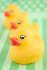 three child's rubber duck on top of green  striped background