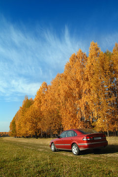 Red Car Near Autumn Forest Under Blue Sky