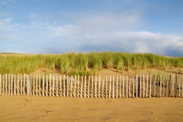 Fototapeta premium La dune