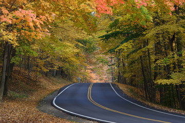 Road Curves through fall foliage