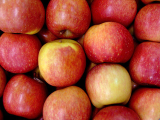 red apple background
