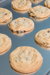 Chocolate chip cookies freshly baked on a cookie sheet