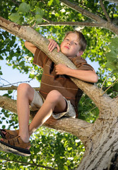 unhappy boy sitting in tree