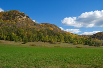 Autumn forest landscape with cloudy blue sky