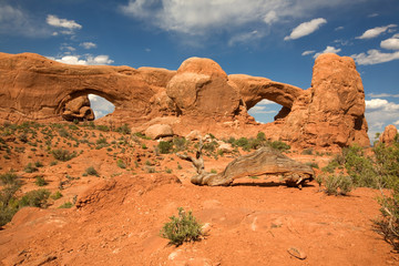 Die Windows im Arches National Park in Utah