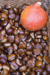 Basket full of chestnut with an orange squash