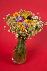 bunch of various flowers on the red background