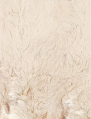 Vintage animal fur texture