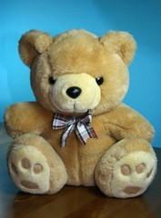 Bear Teddybear
