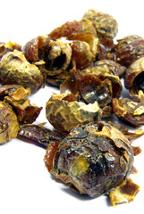 Detail view of a bunch of soapnuts isolated.