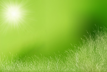 prairie ensoleilée bio