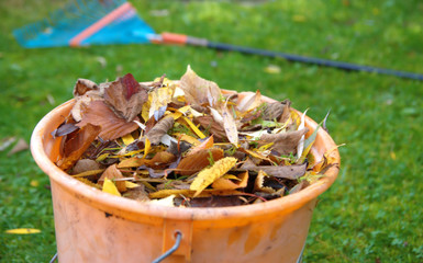 gartenarbeit
